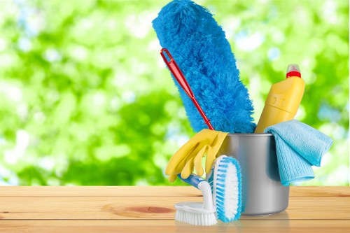 Professional carpet cleaning in a Ruxley home living room