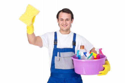 Professional pet stain odour removal on carpet in Ruxley