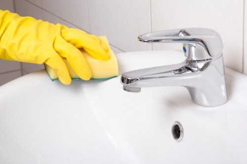 Professional carpet cleaning equipment for Ruxley properties