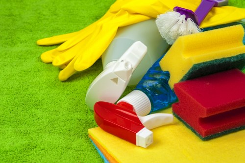 Upholstery cleaning process for a living room sofa in Ruxley