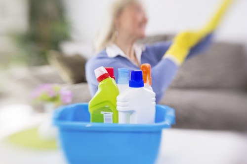 Accessibility request and support section for Ruxley Carpet Cleaners