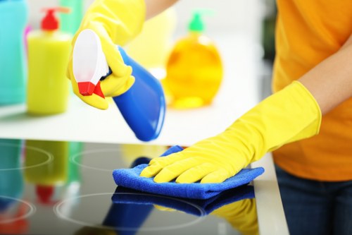 Professional cleaner working carefully around a protected room
