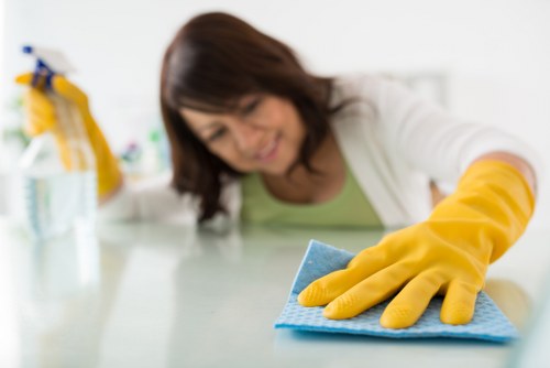 Liability and compliance terms for a carpet cleaning service