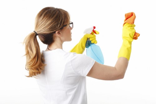 Carpet stain treatment during steam cleaning in Ruxley