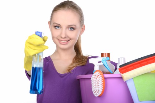 Inclusive carpet cleaning website experience for the Ruxley area