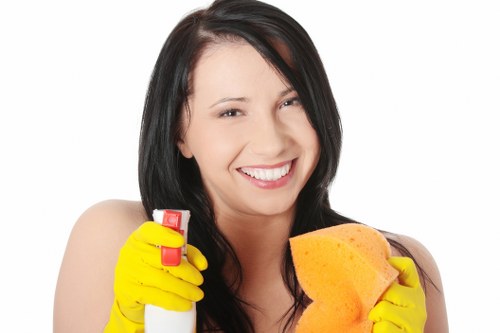Sofa and upholstery stain cleaning example
