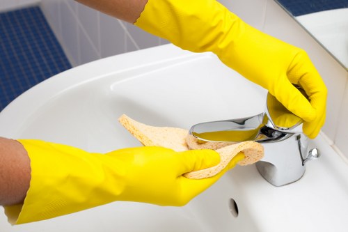 Cleaning pet urine stains from upholstery in Ruxley